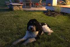 3517 Acorn sneak peak 2 web